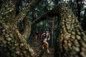 BIB: 
                            <button type="button" onclick="openModal(25674024)" class="btn btn-primary btn-sm float-right btn-popup" data-toggle="modal" data-target=".modal-high-quality">
                        <i class="fas fa-shopping-cart"></i> Add to Cart
                    </button>
                                            <button type="button" onclick="isThisMe(25674024, true)" class="btn btn-success btn-sm float-right btn-popup btn-isme hidden" data-toggle="tooltip" data-placement="bottom" title="นี่คือรูปของคุณใช่ไหม คลิกที่นี่เพื่อเอาเข้าอัลบั้ม">
                        <i class="fas fa-plus"></i> Add to album
                    </button>
                    <button type="button" onclick="isThisMe(25674024, false)" class="btn btn-warning btn-sm float-right btn-popup btn-isnotme hidden">
                        <i class="fas fa-ban"></i> Remove from album
                    </button>